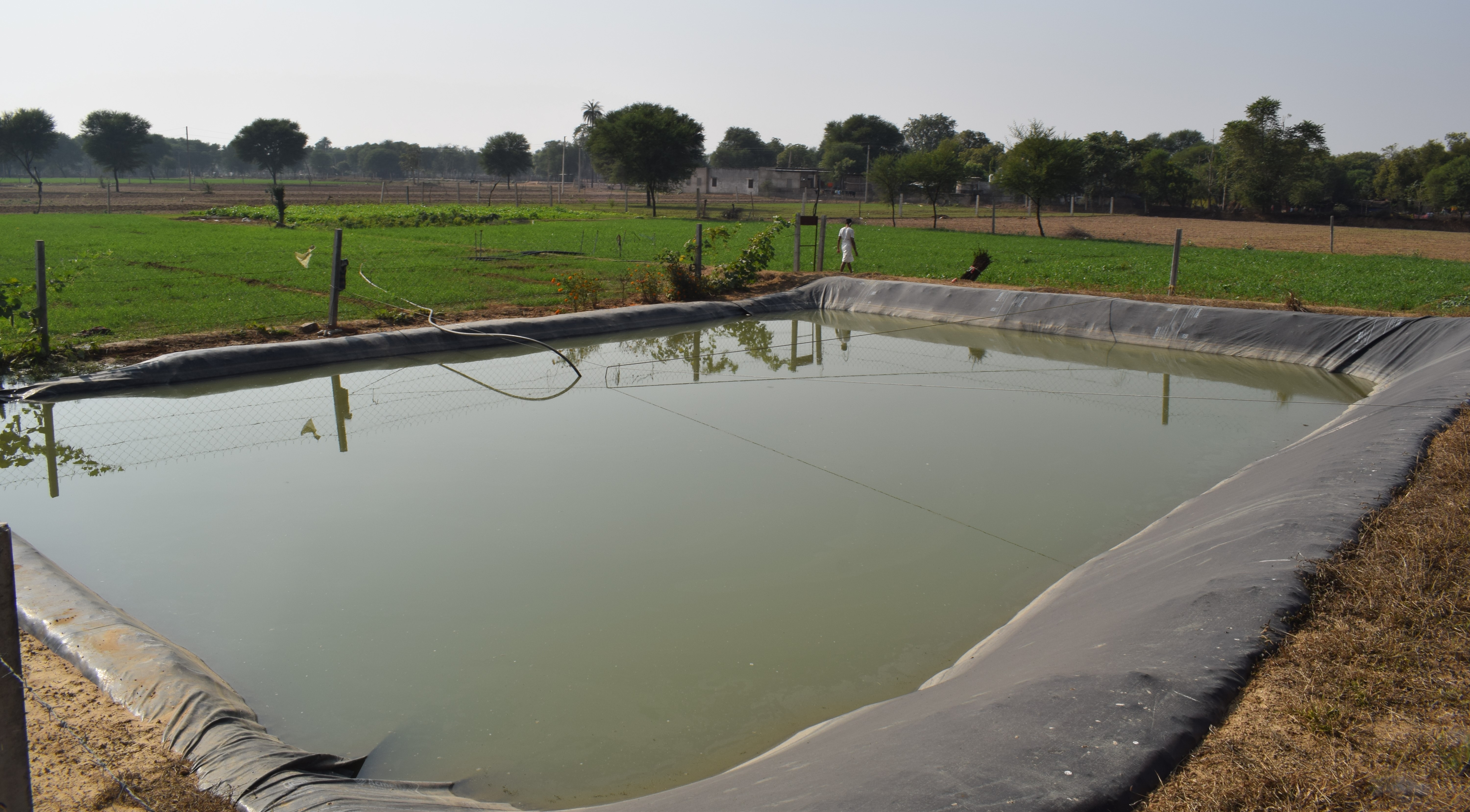 Water Conservation