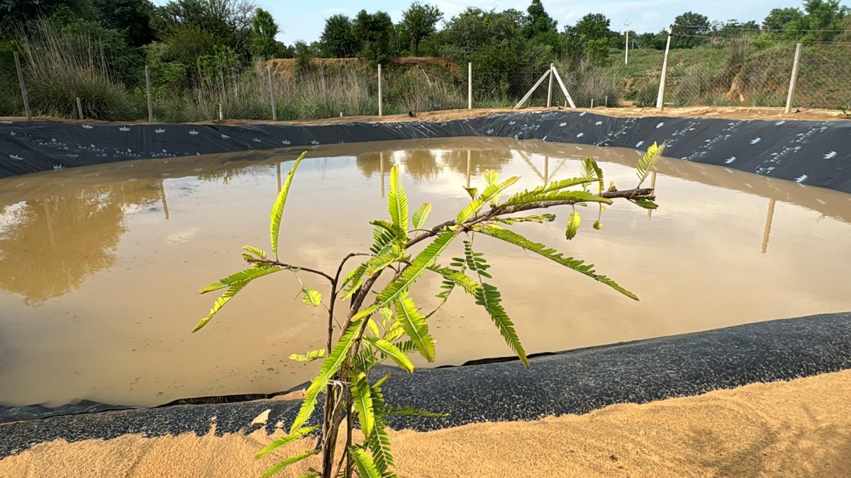 MAEF Farm Pond